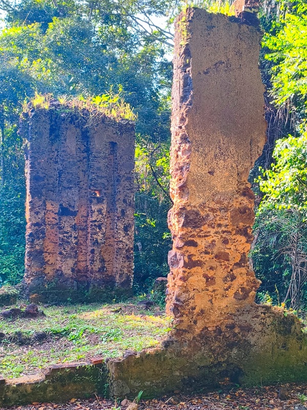 saraiva 7