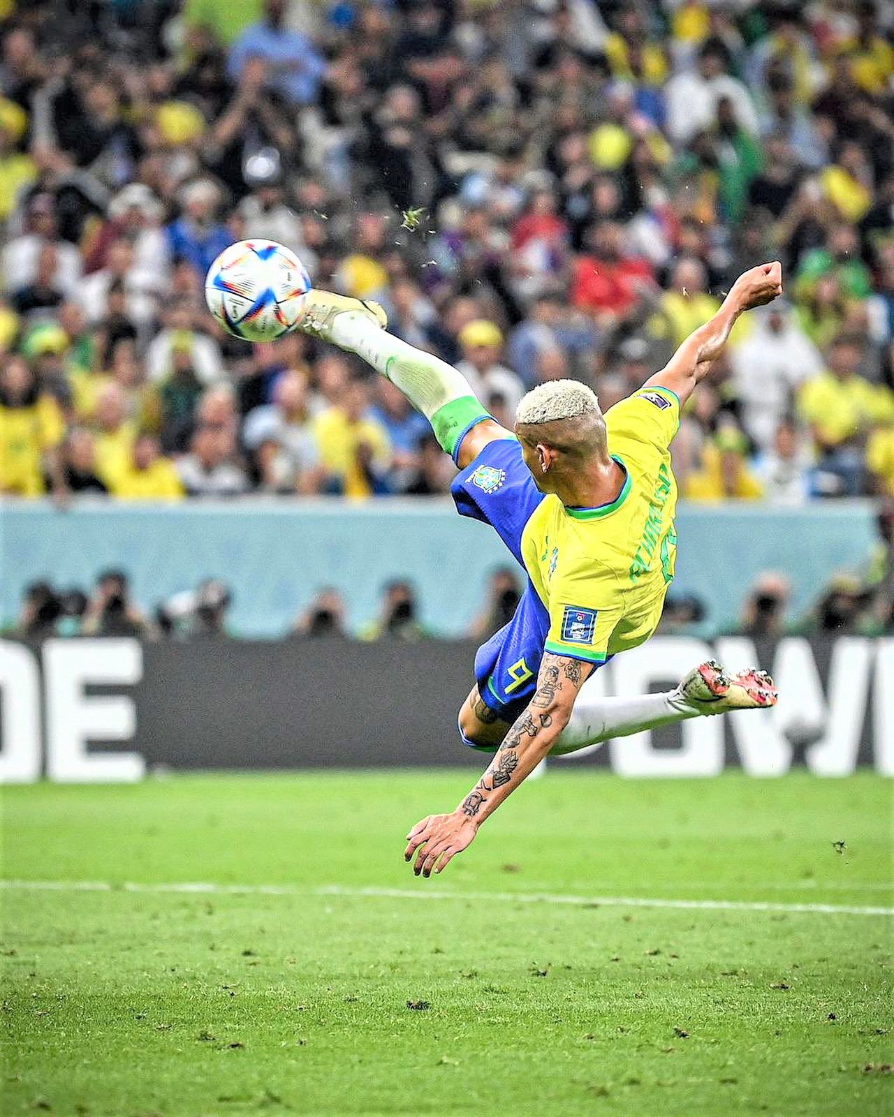 voleio