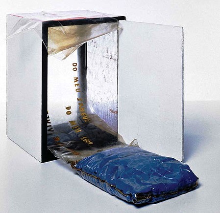 helio_oiticica_art_02