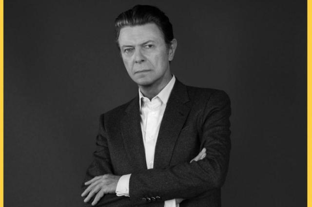 bowiezig
